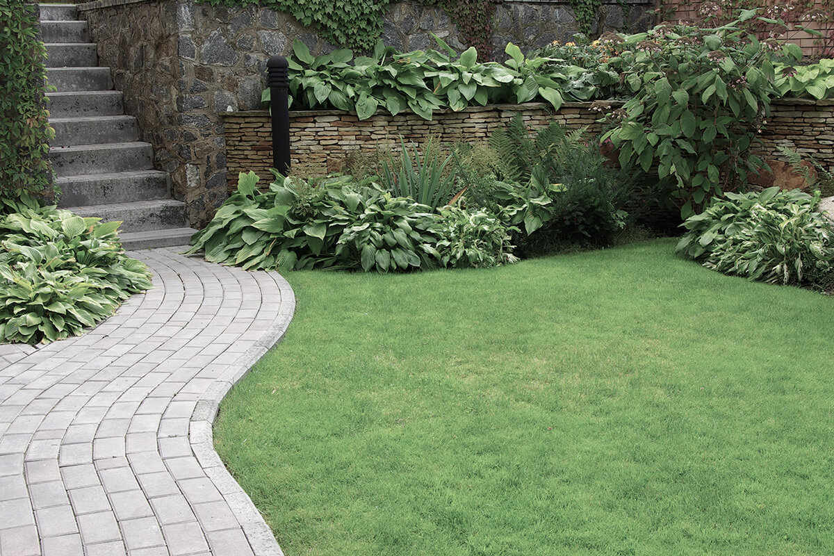 Welcome to JE Landscaping